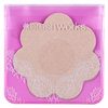 Brush Works - Nude Satin Nipple Covers (4stk)