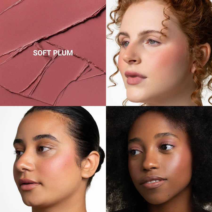 SANZI BEAUTY - Blush Multi Stick soft plum